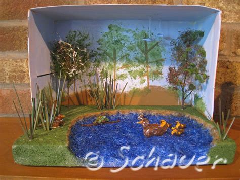 Thinking INSIDE the box–A duck habitat diorama. | Habitats projects, Diorama kids, Ecosystems ...