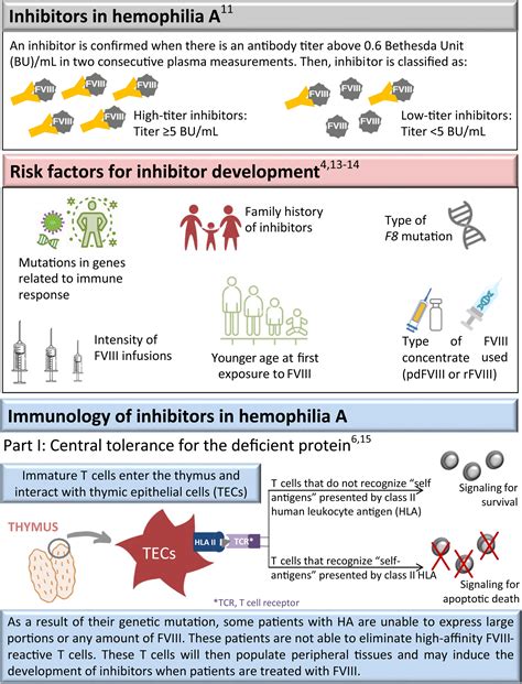 Development Of Inhibitors In Hemophilia A An Illustrated Review