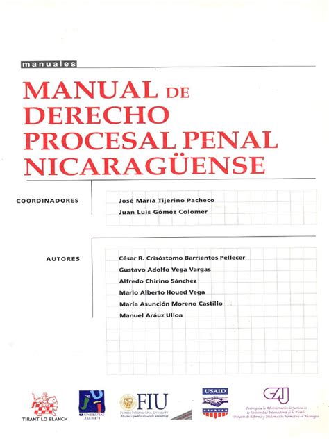 03 Tema 3 Los Principios Del Proceso Penal Pdf