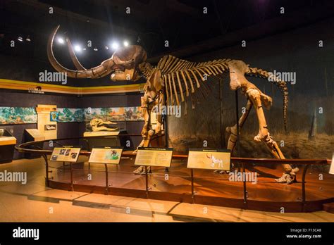 state museum of Pennsylvania PA Harrisburg Stock Photo - Alamy