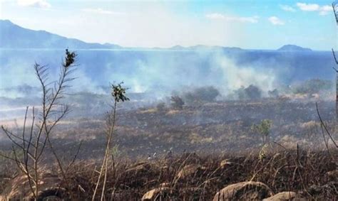 Gawat Ancaman El Nino Dan Kemarau Di Indonesia Kian Nyata Bmkg