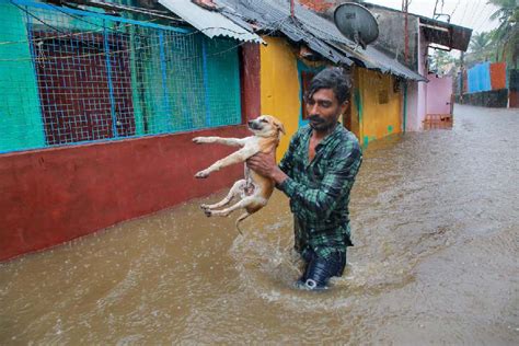 Tamil Nadu In Pictures Several Regions Of Tamil Nadu Underwater As