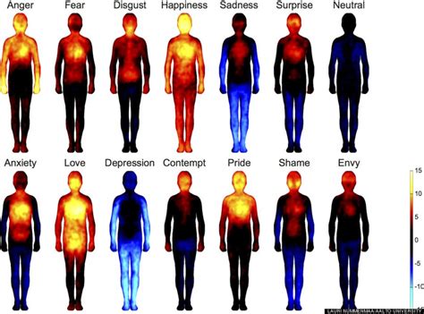 Body & Somatic Psychotherapy - Love Therapy Center