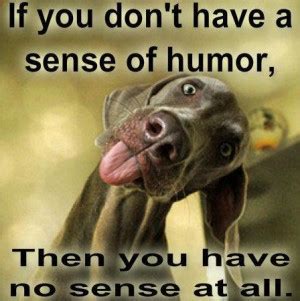 Best Sense Of Humor Quotes Quotesgram