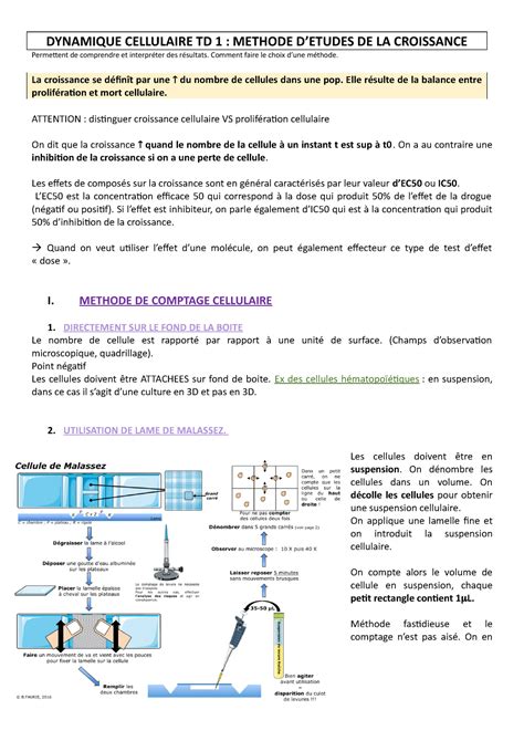 Dynamique Cellulaire TD 1 DYNAMIQUE CELLULAIRE TD 1 METHODE D