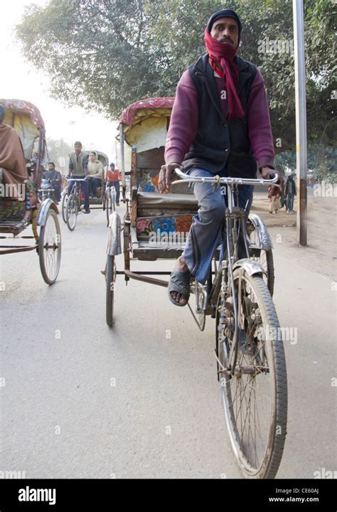 rickshaw puller at Magh Mela, Sangam, Allahabad, India Stock Photo - Alamy