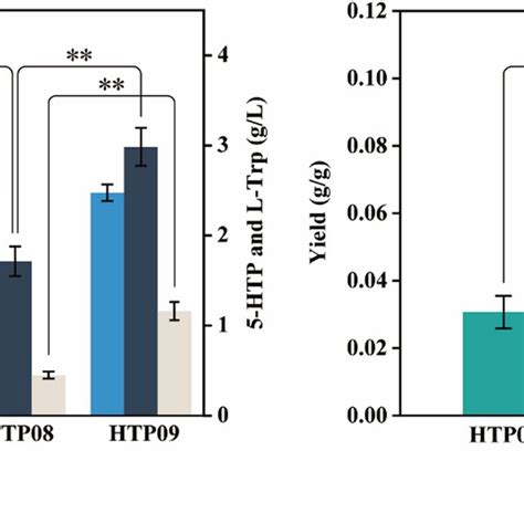 Metabolic Pathway Designs And Key Metabolic Engineering Strategies For