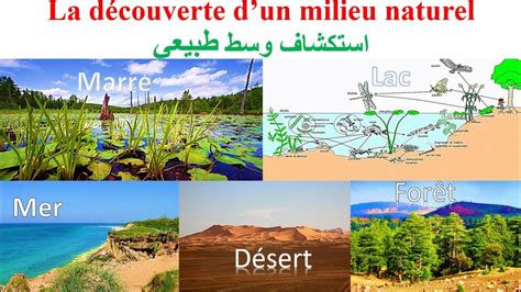 La D Couverte Dun Milieu Naturel Ac Svt Part