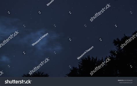 Silhouette Trees Under Blue Starry Sky Stock Photo 2010594629