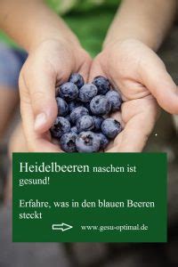 Gesu Optimal Gesund Leben Starte In Deine Gesundheit