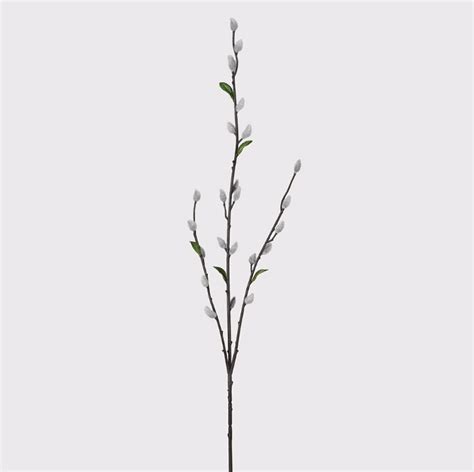Pussy Willow Spray