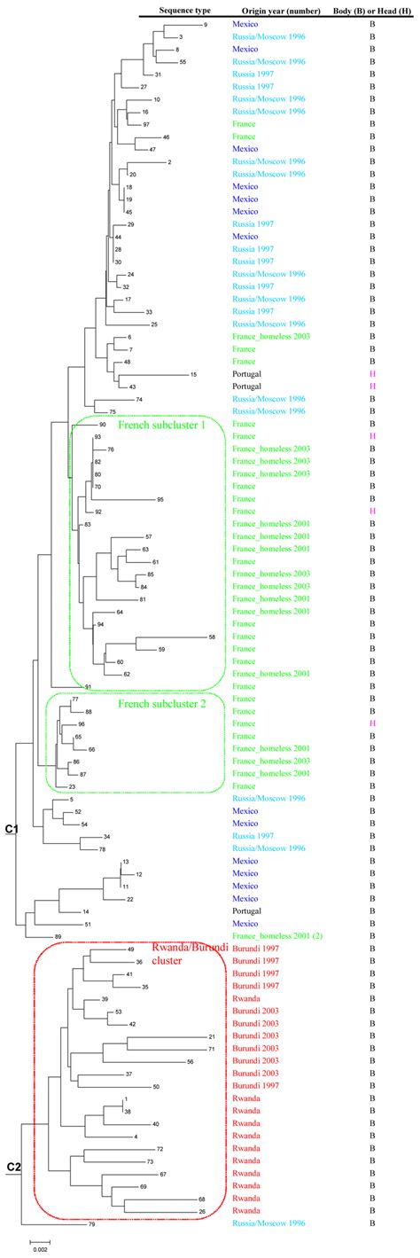 Phylogenetic Organization Of 97 Human Lice Based On Concatenation Of