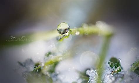 Wallpaper Sinar Matahari Air Alam Refleksi Rumput Musim Dingin