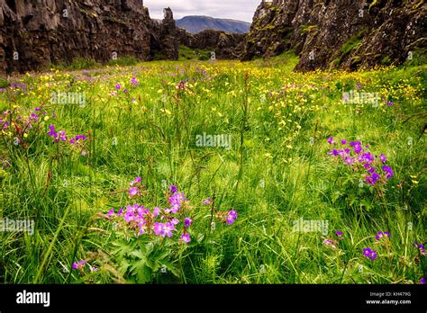 Placas tectónicas en islandia fotografías e imágenes de alta resolución