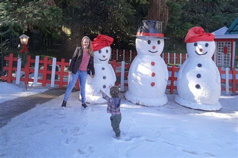 Natal Luz de Gramado 2023 2024 tudo o que você precisa saber sobre o