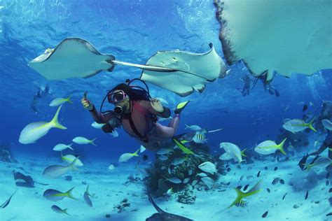 Diving A Bora Bora I 5 Migliori Posti Per Le Immersioni