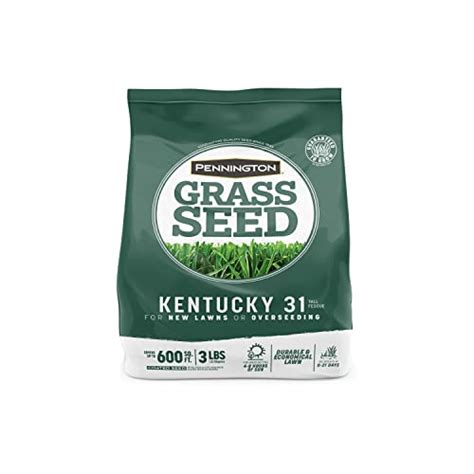 How To Buy Best Fescue Grass Seeds For Lawn 2024 Reviewed By Experts Glory Cycles