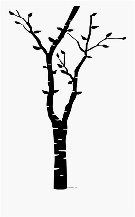 Birch Tree Silhouette