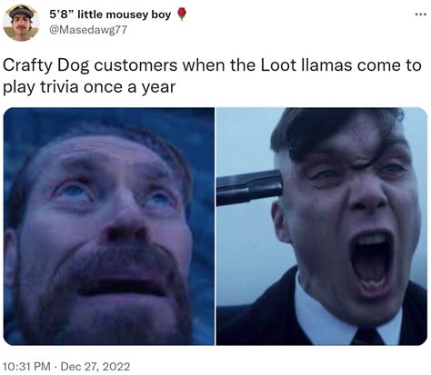 Crafty Dog customers when the Loot llamas come to play trivia once a ...