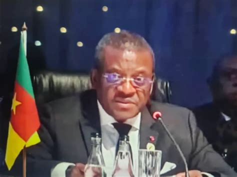 Joseph Dion Ngute Au Sommet Des Brics Le Cameroun S Aligne Sur La