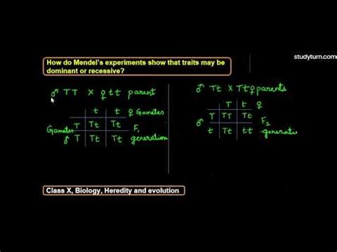 How Do Mendel S Experiments Show That Traits May Be Dominant Or