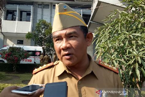 Hama Tikus Serang Tanaman Padi Di Garut ANTARA News