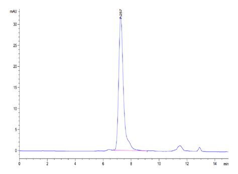 Buy Human Fgfr2 Beta Iiib Protein Fgr Hm2bb Kactu