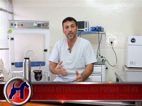 Todo Lo Que Necesitas Saber Sobre La Duraci N De La Esterilizaci N En