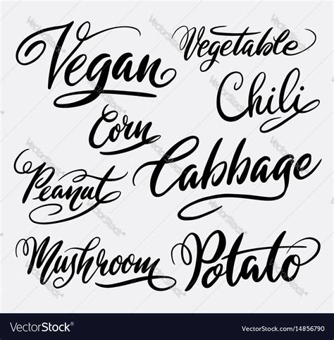 Vegan And Vegetable Hand Written Typography Vector Image