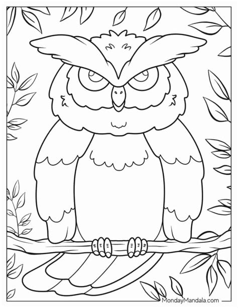 Owl Pictures To Color