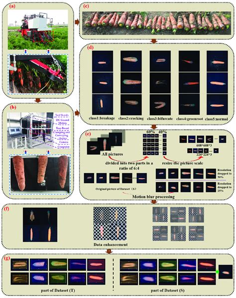 Acquisition Of A Carrot Dataset A Operation Of The Carrot Combine