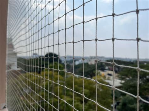 Bird Netting Services For Balcony In Bangalore Clean Fanatics