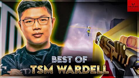 How Tsm Wardell Really Plays Valorant Tsm Wardell Valorant