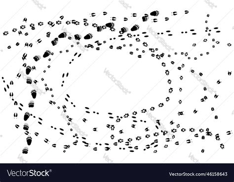 Animal tracks isolated on a white Royalty Free Vector Image