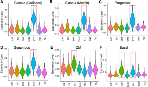 Expression Of Pdac Subtype Signature Genes In Different Cell Types