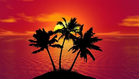 Download Tropical, Nature, Sunset. Royalty-Free Stock Illustration Image - Pixabay