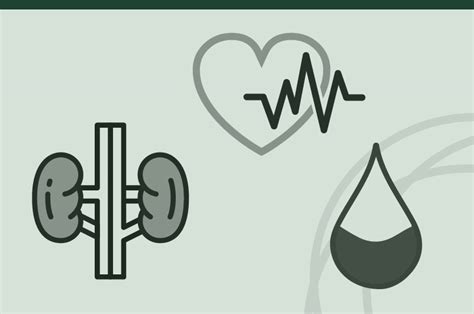 Cardiorrenal Es Guías Y Consensos Cardiorenalmetabólicos