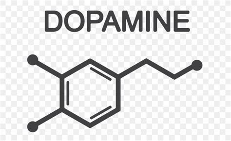 Dopamine Euclidean Vector Neurotransmitter Vector Graphics Serotonin