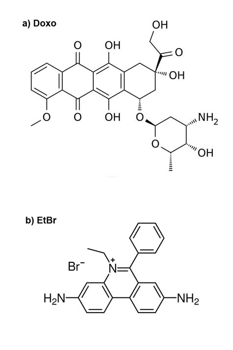 Chemical Structure Of The Two Intercalators Used A Doxorubicin Doxo