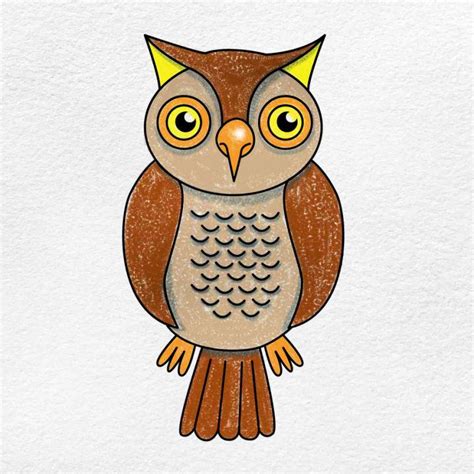 25 Easy Owl Drawing Ideas How To Draw An Owl Blitsy