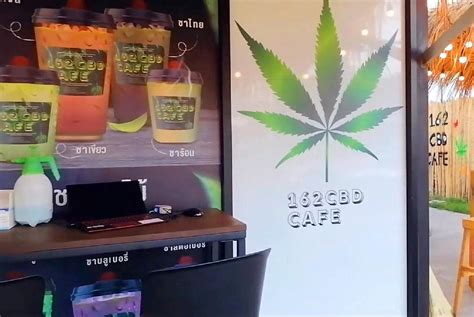 Cosas Que Los Turistas Deben Saber Sobre El Cannabis En Tailandia