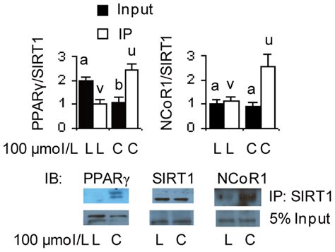 Treatment With T10c12 Cla Increases The Interaction Of Sirt1 With Pparγ