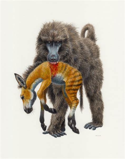 Dinopithecus - Esther van Hulsen