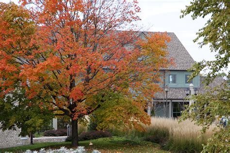 Arboretum Minnesota Landscape Arboretum Yuan2003 Flickr