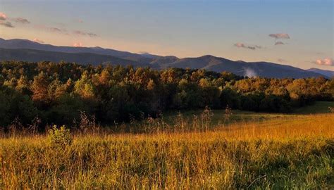 Fall Foliage Report - Virginia Is For Lovers