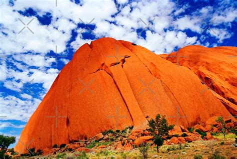 "Kangaroo Tail, Uluru" by blackadder | Redbubble