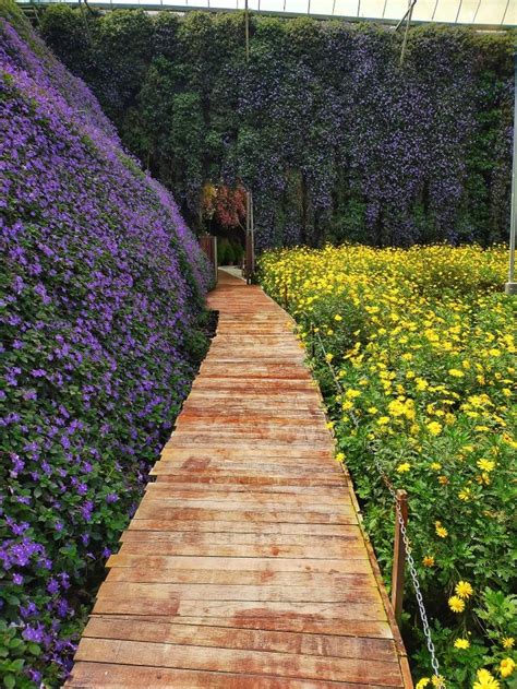 Flora Park Cameron Highlands Malaysia