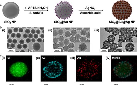 Synthesis Of Sio2auag Nps A Synthesis Procedure For Sio2auag Nps