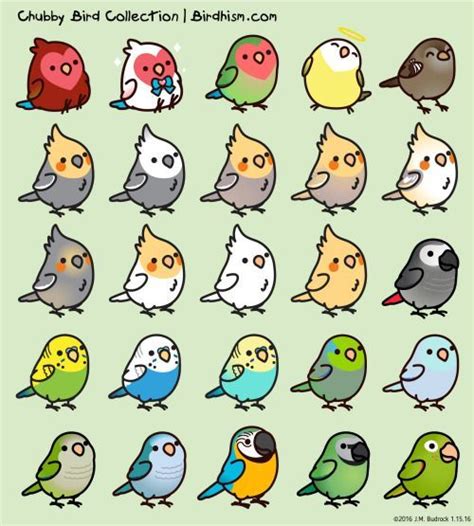 Cute Cartoon Cockatiels Adorable Kawaii Bird Drawings