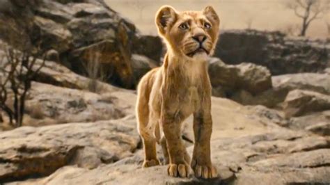 Mufasa The Lion King First Look From The Movie Revealed Youtube